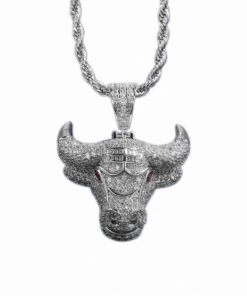 COLLAR CHICAGO BULLS "Plateada"