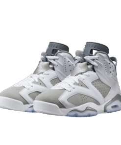 Air Jordan Retro 6 "Cool Grey" Gris