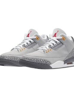 Air Jordan Retro 3 "COOL GREY" Gris