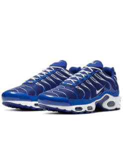 Nike Air Max Plus TN "Arctic Chill" Azul Blanco