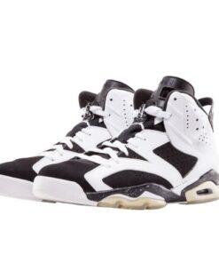 Air Jordan Retro 6 "Oreo"