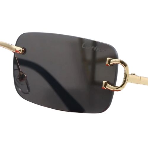 Lentes Gafas de Sol Lujo CARTIER – 5 Colores + Caja - Imagen 4